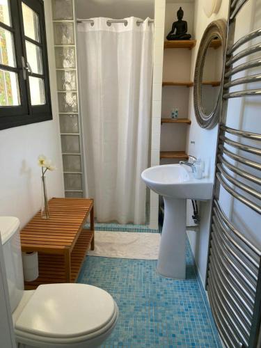 une salle de bain avec toilettes et lavabo dans l'établissement French Idyll In Authentic Village, à Villelongue-dels-Monts