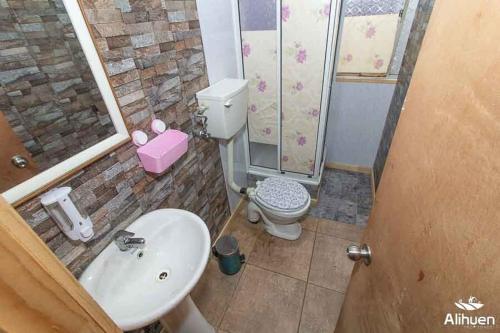 Un baño pequeño con inodoro y lavabo. en Arriendo cerca Puerto Varas, en Puerto Montt