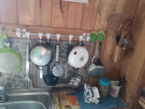 a bunch of utensils hanging on a wall over a sink at Casa Familiar Equipada in Curacautín