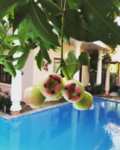a bunch of fruit hanging from a tree next to a pool at Mandaram villas in Mararikulam