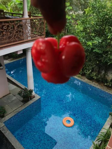 a red object in the air next to a swimming pool at Mandaram villas in Mararikulam