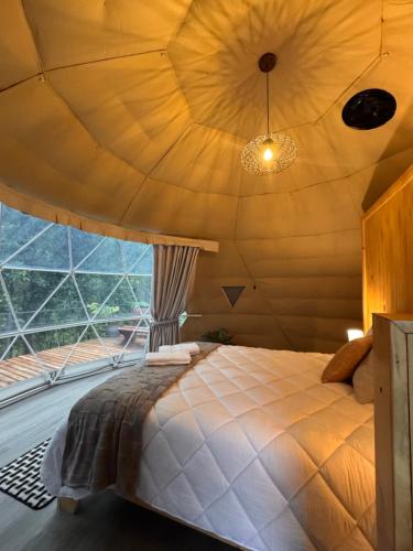 Epífita, Bosque Nuboso Glamping Monteverde