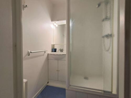 une salle de bain avec douche et lavabo dans l'établissement Appartement 5 pers à 100m des pistes, parking - FR-1-525-294, à Superdevoluy