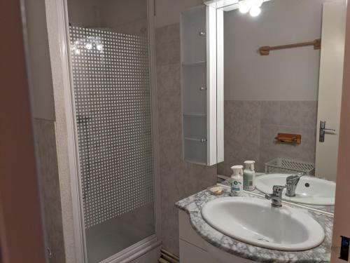 une salle de bain avec un lavabo et une douche dans l'établissement Charmante villa T2 mezzanine avec cour, jardin, véranda, barbecue et parking privé, proche plage et commerces - FR-1-797-2, à Port-la-Nouvelle