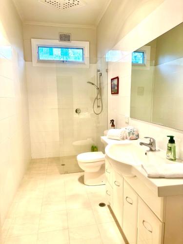 a bathroom with a toilet and a sink and a mirror at Hill Cottage in Clare