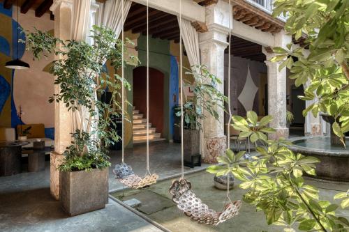 a group of plants hanging from a building at Pug Seal Oaxaca in Oaxaca City