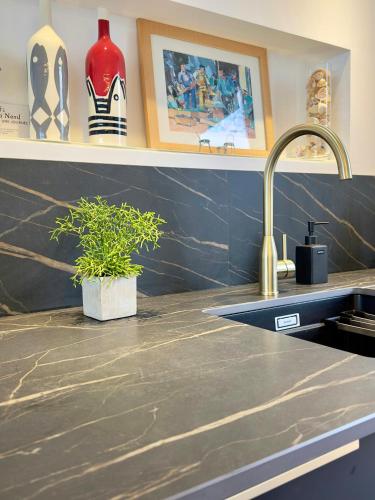 un comptoir de cuisine avec un évier et une plante en pot dans l'établissement Heritage Lighthouse Cottage With View In Bretagne, à Concarneau