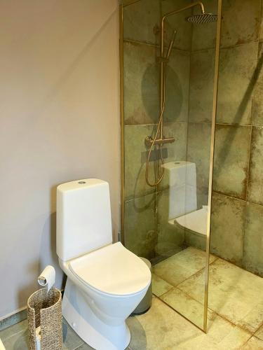 a bathroom with a toilet and a shower at Modern Wooden House Near Halkær Bredning in Nibe