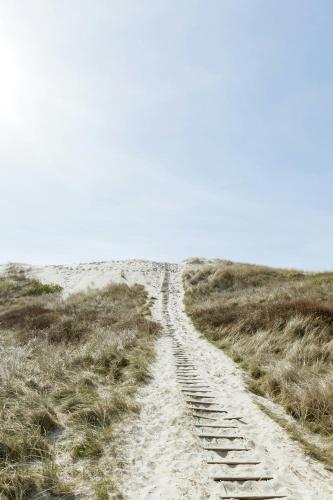 a dirt road in the middle of a field at Atmosphere Close To Water Surrounded By Pines in Hvide Sande