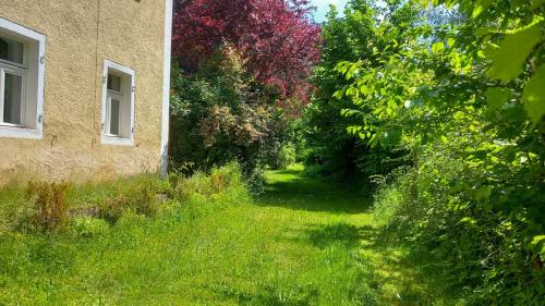 an empty yard next to a building with trees at Design Apartment In The Historic Mittermurnthal in Neunburg vorm Wald