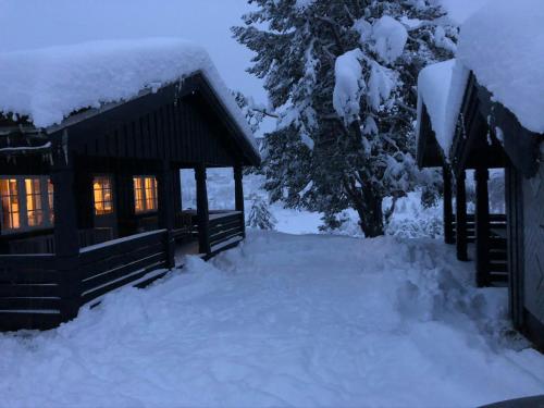a cabin in the snow at night at Bjerghytte Med Udsigt Og Nærhed Til Skiløjperne in Aurdal