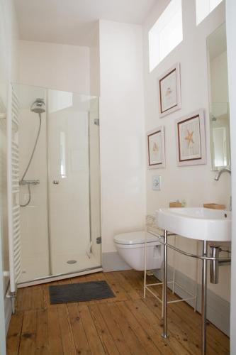 une salle de bain avec une douche, des toilettes et un lavabo dans l'établissement Charming Villa With Pool Near Toulouse, à Flourens