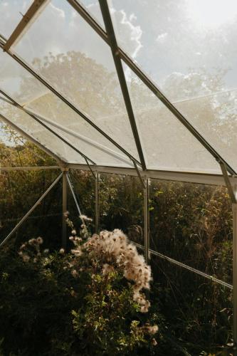 a greenhouse with a bunch of flowers in it at Design Farm House Amid Wild Uckermark Nature in Flieth