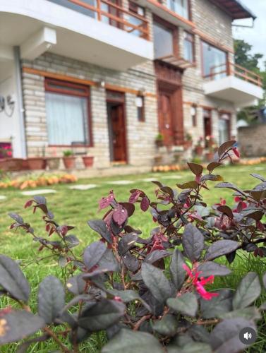 a bush with pink flowers in front of a house at Panchwati Farms Homestay in Almora