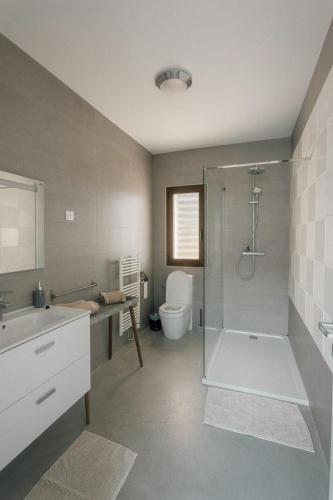 une salle de bain avec une douche, des toilettes et un lavabo dans l'établissement Elegant Architect-Designed Home In Upper Corsica, à Taglio-Isolaccio