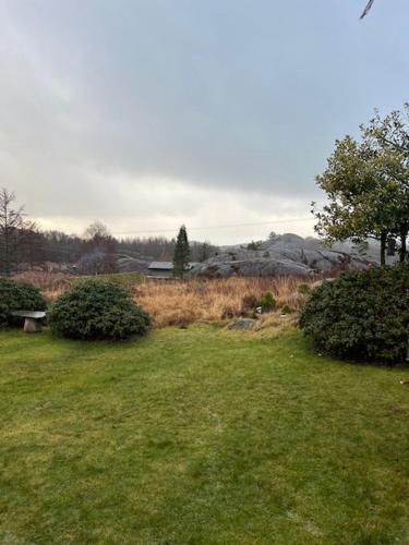 a field of grass with a bench and some bushes at Scenic Cabin With Panoramic Views In Jæren in Sirevåg