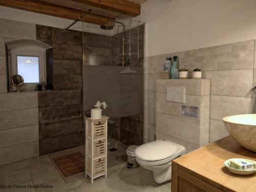 a bathroom with a toilet and a sink at Gîte du Bois des Hauts : Confort en pleine nature, proche Plateau des 1000 Étangs - FR-1-583-439 in La Lanterne-et-les-Armonts