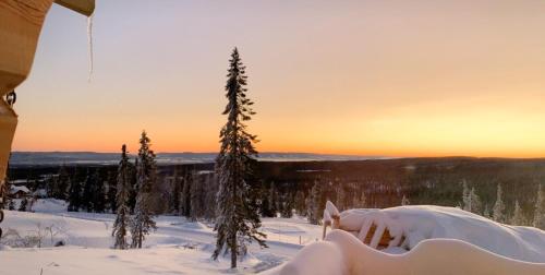 a sunset in the snow with trees in the background at Cozy Log Cabin With A View Over Hedmarken in Løten