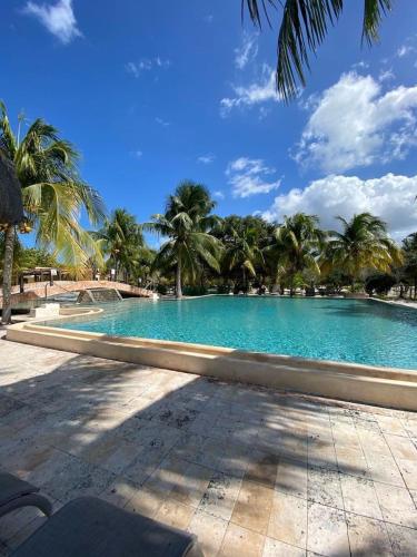a large swimming pool with palm trees in the background at Matraca 74 in Celestún