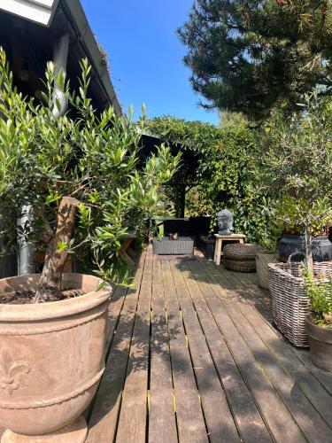 a wooden deck with potted plants and a table at Feel Calm In A Log Cabin Near Klintebjerg in Nykøbing Sjælland