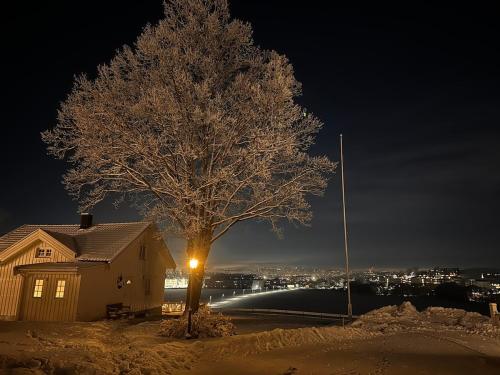 a snow covered tree in front of a house at Cozy 2 bedroom house on a farm just outside Lillestrøm in Lillestrøm
