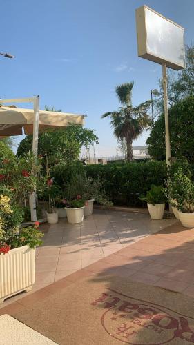 a group of potted plants on a patio at Hotel Rosati in Rimini