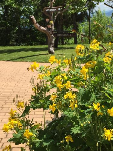 a garden with yellow flowers in front of a bench at HERBALIJA Apartment Herbalija - sorrounded by Nature in Podčetrtek