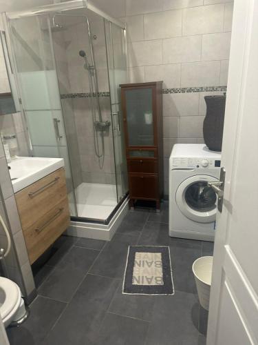 une salle de bain avec douche et machine à laver dans l'établissement apartment near metro Villejuif louis Aragon, à Villejuif