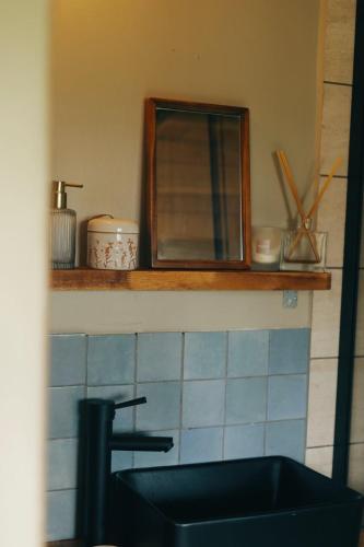 a bathroom with a sink and a mirror on a shelf at Sunchill luxurious wood house in Saint-Antonin