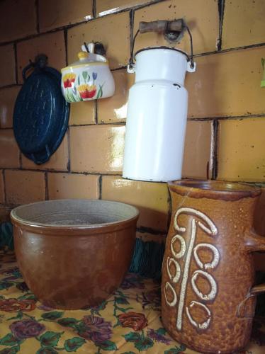 a kitchen counter with a mortar and pestle and a pot at Siedlisko pod starą lipą in Krzczonów-Wójtostwo