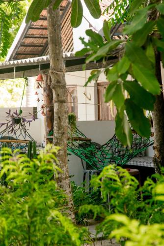a green hammock in the yard of a house at Bay Dreams Beach Hotel & Surf Camp in Arugam Bay