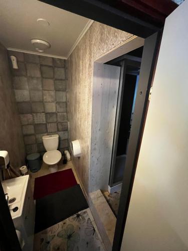 a small bathroom with a toilet and a sink at Country House - Kemiönsaari in Västanfjärd