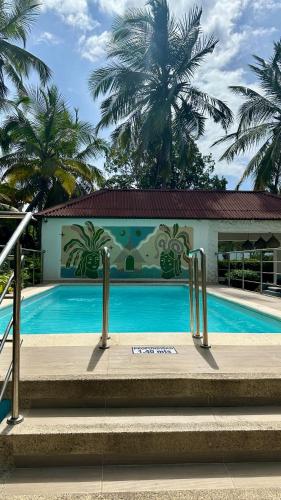 a large swimming pool with palm trees in the background at Hotel Las Marias by Croma in Palomino