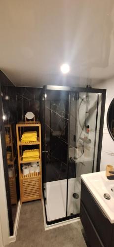 a bathroom with a shower and a sink at Tinyhouse u Novomlýnských nádržích in Šakvice
