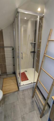 eine Dusche mit Glastür in einem Zimmer in der Unterkunft AU MENILOIS entre Montagne et Forêt in Cornimont