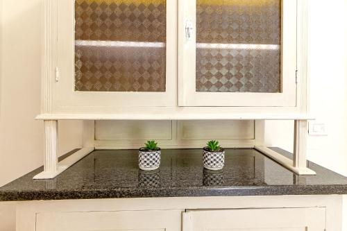 a kitchen with two potted plants sitting on a counter at La Marina Guest House in Sorso