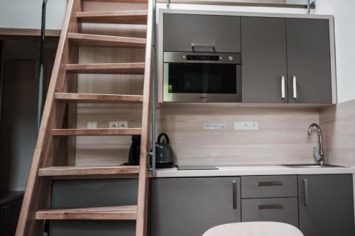 Η κουζίνα ή μικρή κουζίνα στο Apartmán Pod Medvědí horou