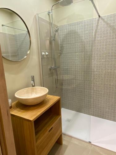 a bathroom with a sink and a shower at Maison Ventoux Vacances in Bédoin