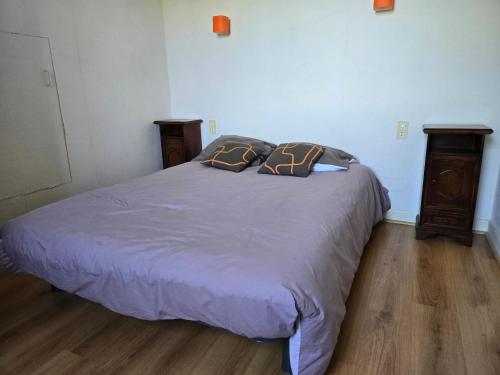 ein Schlafzimmer mit einem Bett mit zwei Kissen darauf in der Unterkunft Maison chaleureuse en Pays-de-Belvès avec terrasse et jardin in Belvès