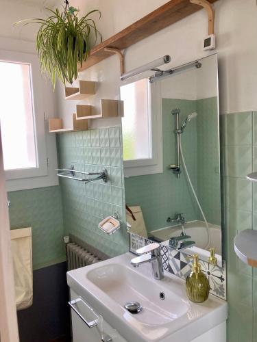 une salle de bain avec un lavabo et un miroir dans l'établissement La Maison Flores, à Coulounieix-Chamiers