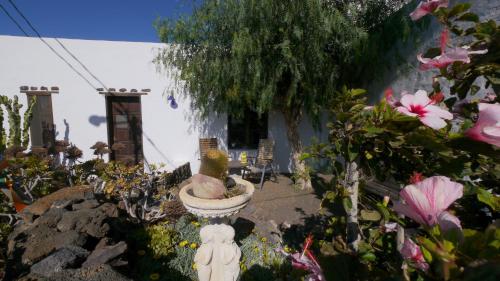 Foto Finca Lanzarosy 4