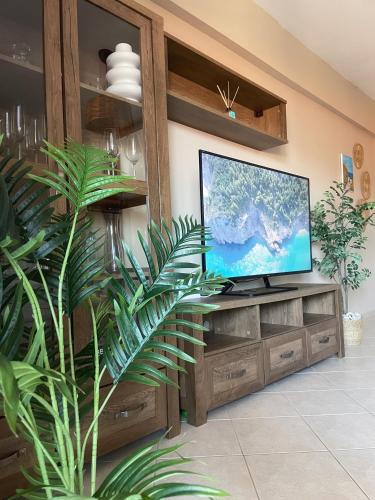 a flat screen tv sitting on top of a wooden entertainment center at Pyrgadikia Treasure in Pyrgadikia