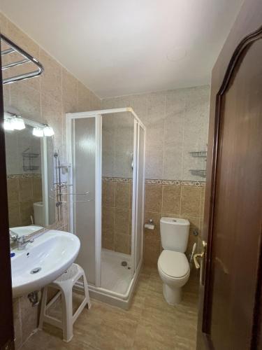 a bathroom with a shower and a toilet and a sink at Hostal rural en el Cañón del Río Lobos in Ucero