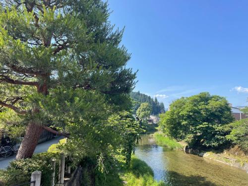 a river with a tree in the foreground at HOTEL AMANEK HidaTakayama in Takayama