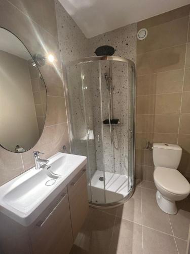 a bathroom with a shower and a toilet and a sink at Studio rénové à 100 mètres de la plage in Antibes