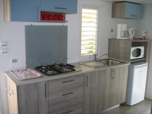 a kitchen with a stove and a sink and a microwave at Camping du petit vaux Chez Camille in Veynes