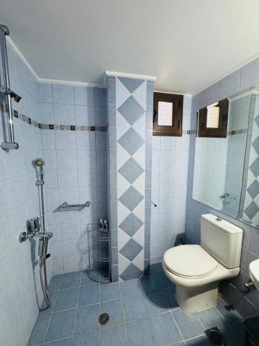 a bathroom with a toilet and a shower at Thea Dysis B in Areopolis