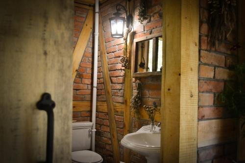 a bathroom with a sink and a toilet and a window at Cegiełka w Skarlance in Gaj Grzmięca