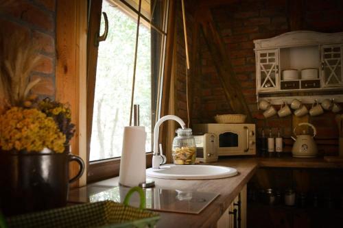 a kitchen with a counter with a sink and a microwave at Cegiełka w Skarlance in Gaj Grzmięca