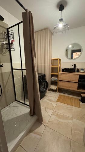 La salle de bains privative est pourvue d'une douche. dans l'établissement Appartement Le Pontet, au Pontet